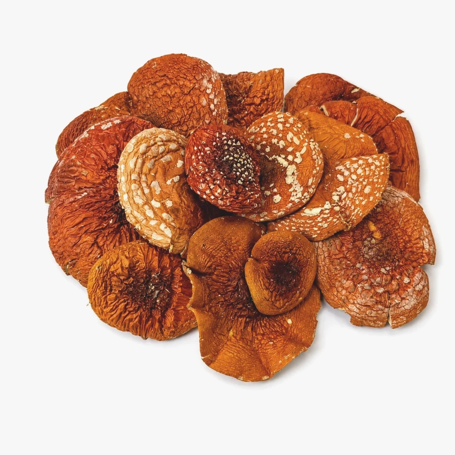 Amanita muscaria TOP Grade
